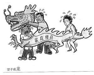 借花献佛真英明，望子成龙女成风打一最佳准确生肖,警惕虚假宣传落实,全面解答解释落实